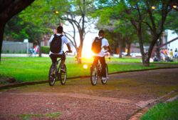 Dois ciclistas andando de bicicleta em um caminho panorâmico cercado pela natureza na Unicamp